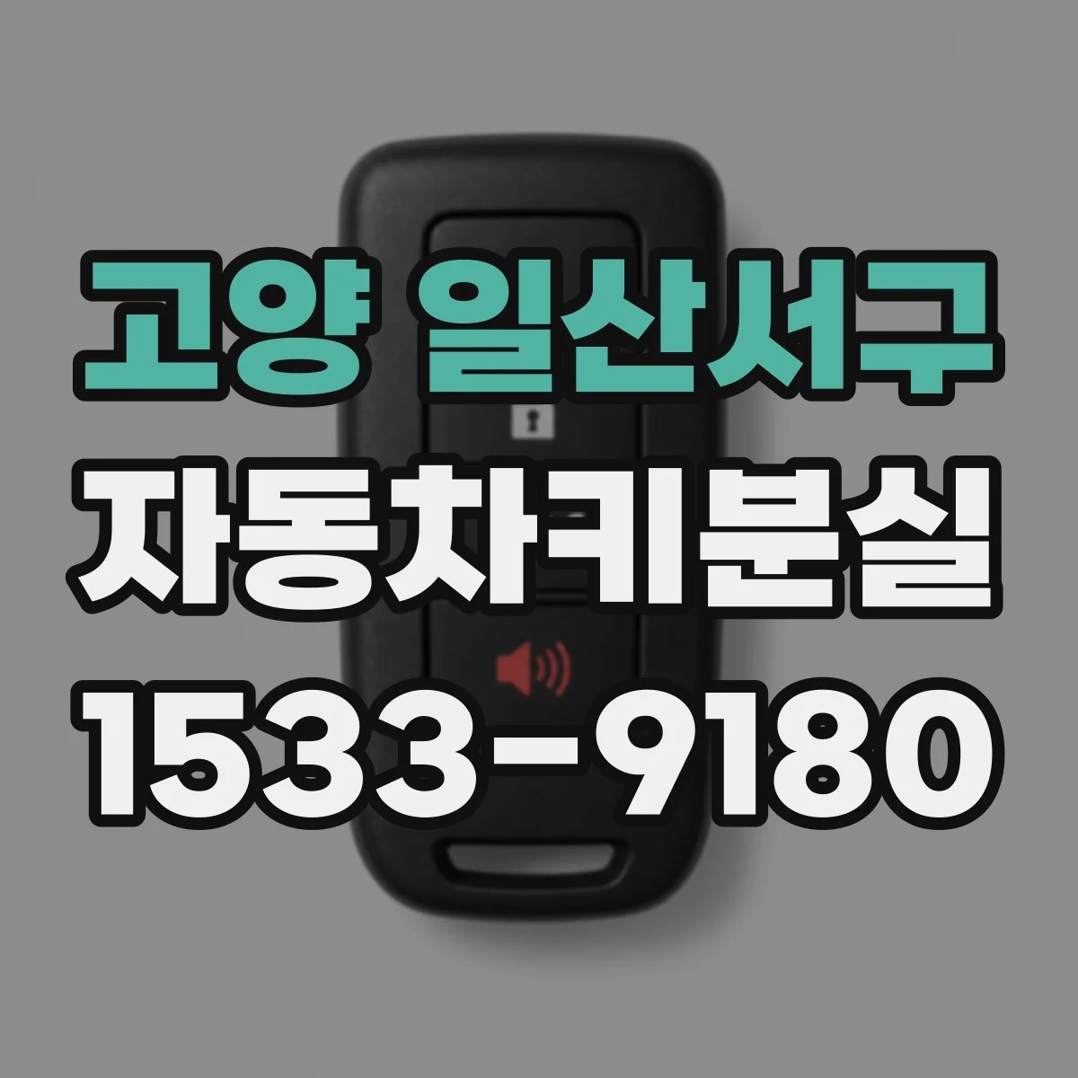고양 일산서구 자동차키분실