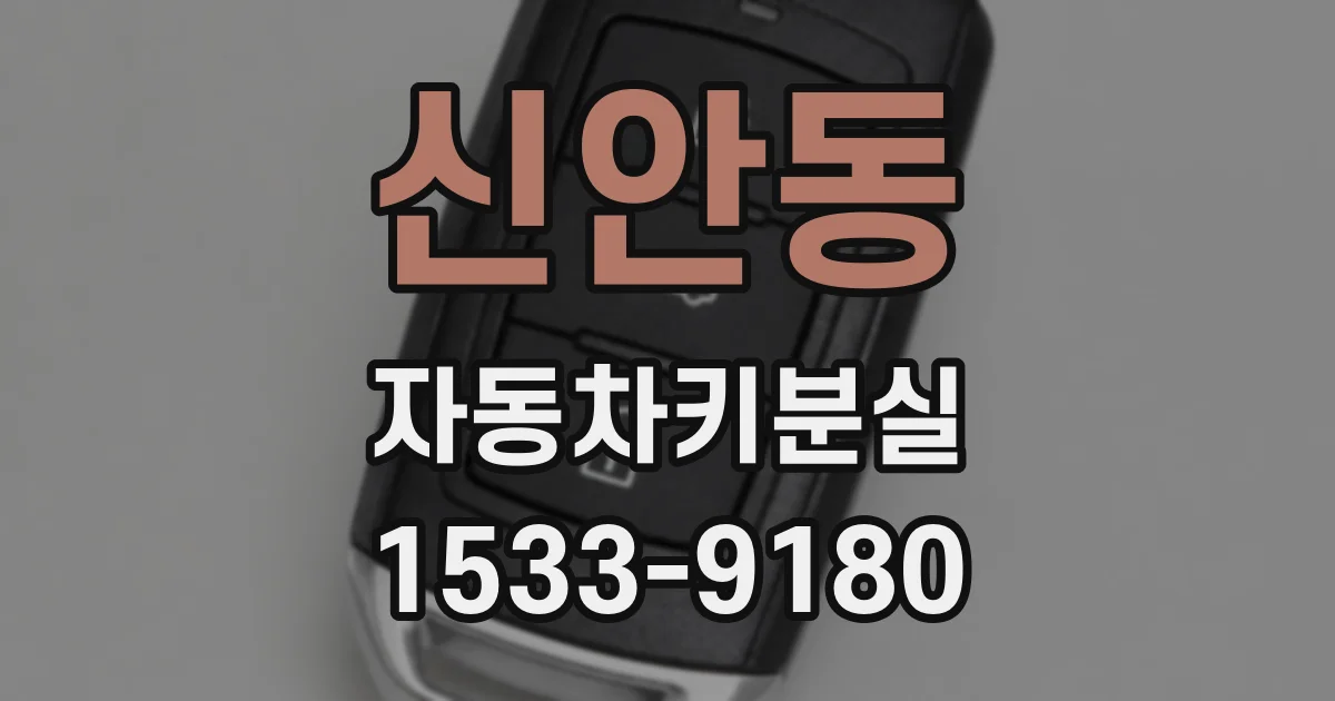 신안동 자동차키분실