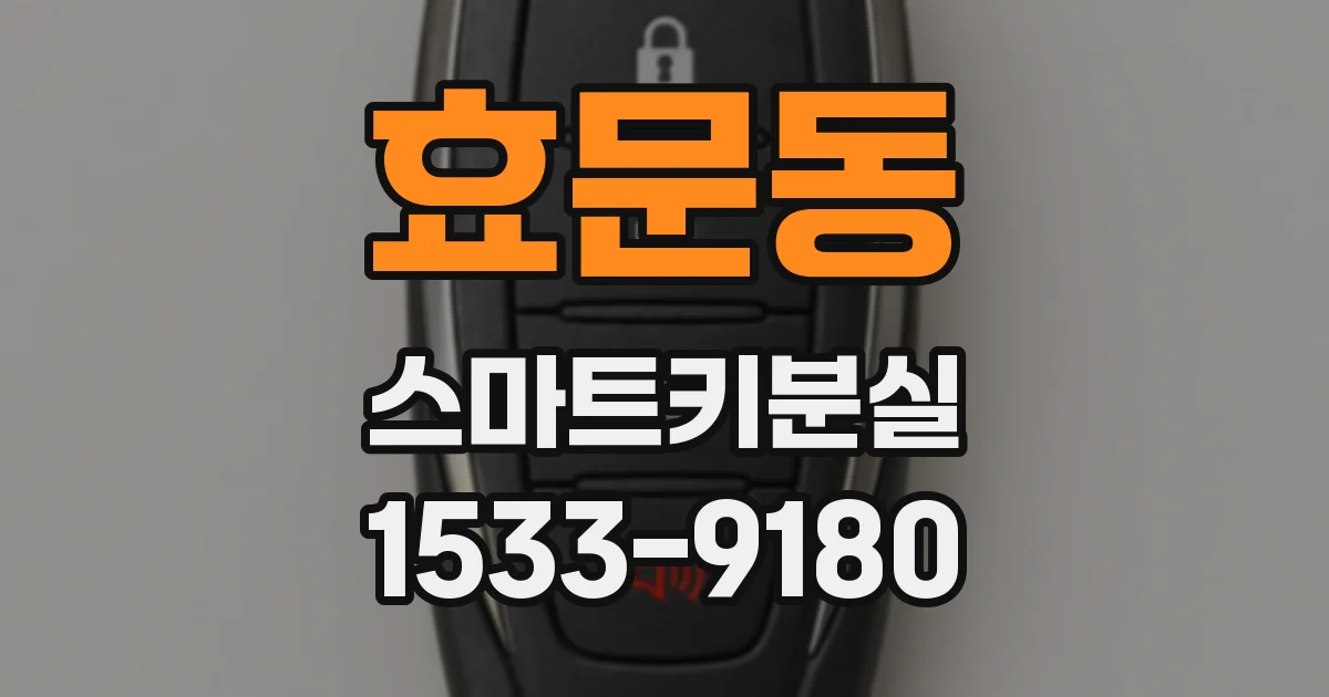 효문동 스마트키분실