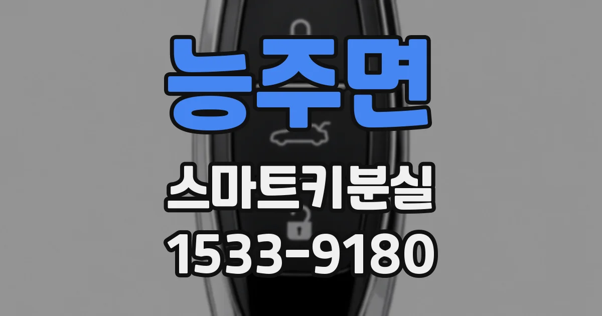 능주면 스마트키분실