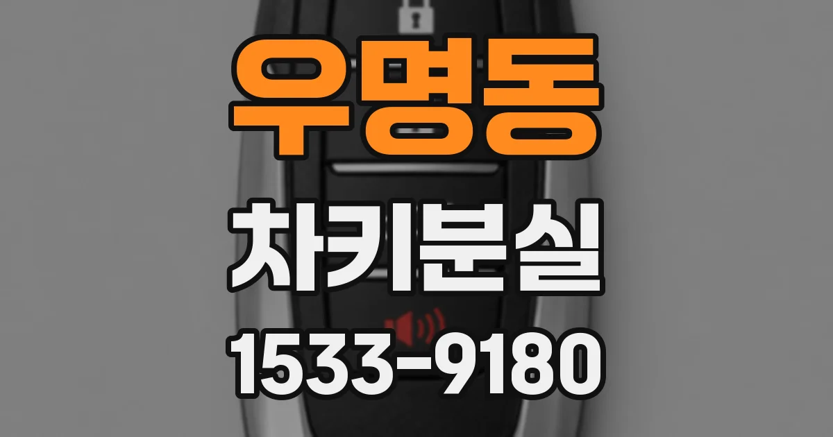 우명동 차키분실