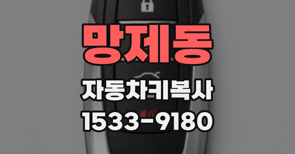 망제동 자동차키복사