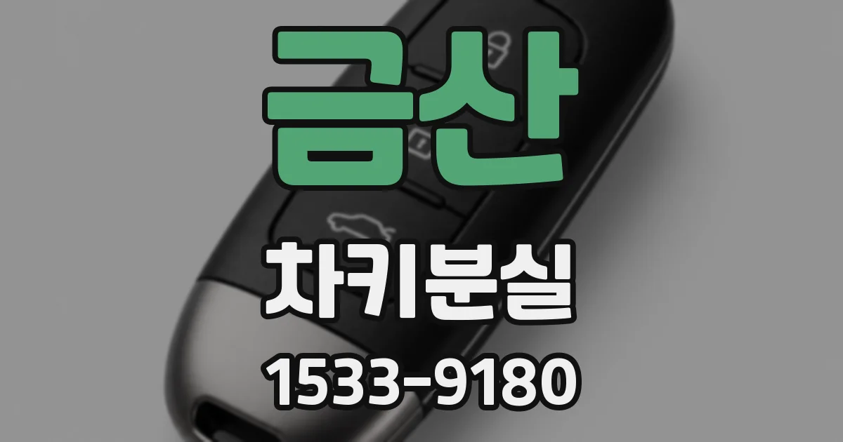 금산 차키분실