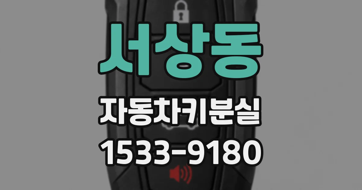 서상동 자동차키분실