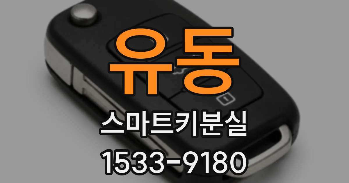유동 스마트키분실