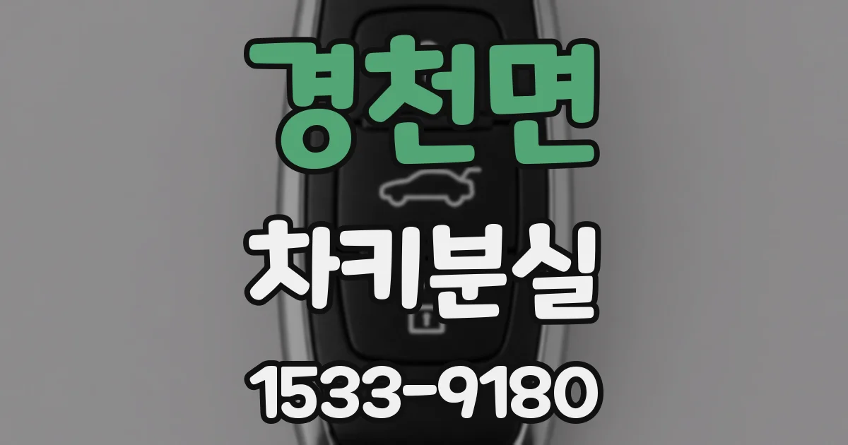 경천면 차키분실