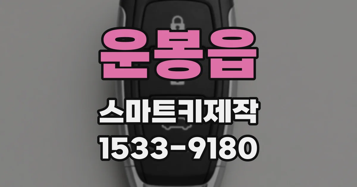운봉읍 스마트키제작