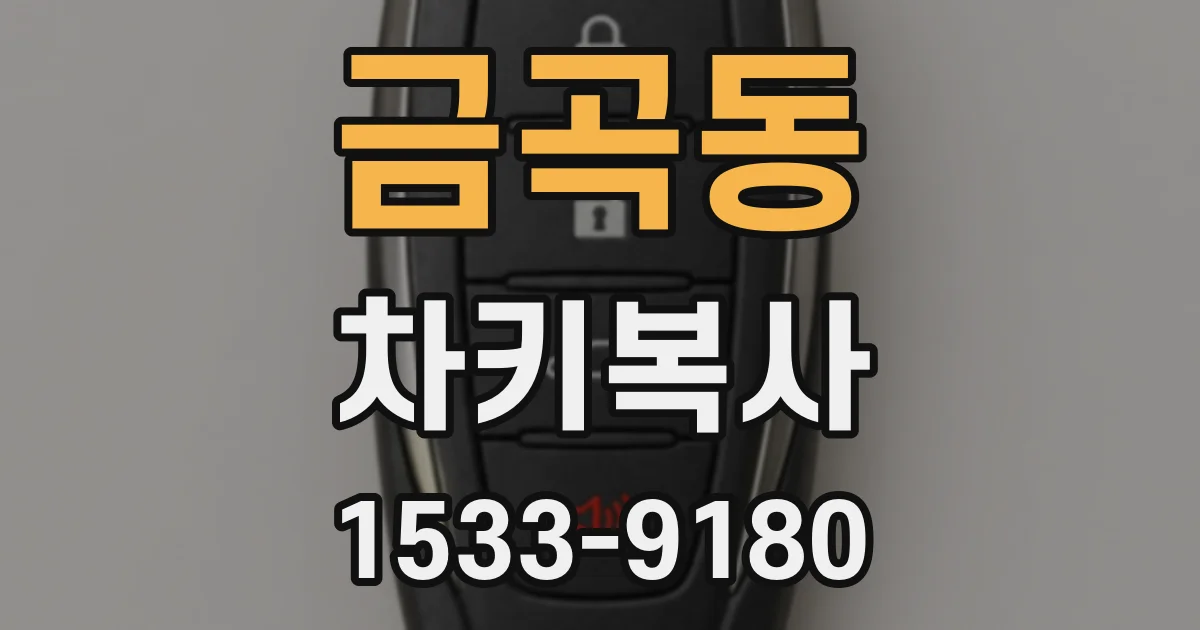 금곡동 차키복사