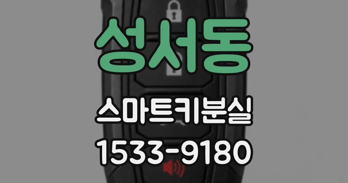 성서동 스마트키분실