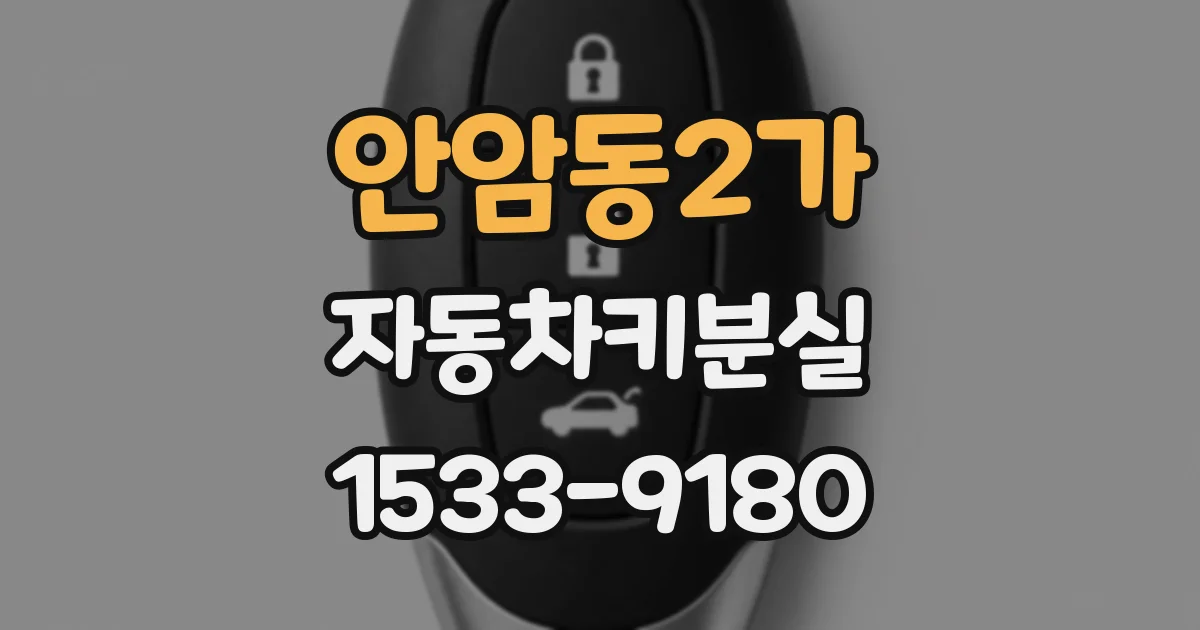 안암동2가 자동차키분실