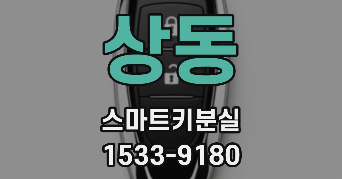 상동 스마트키분실