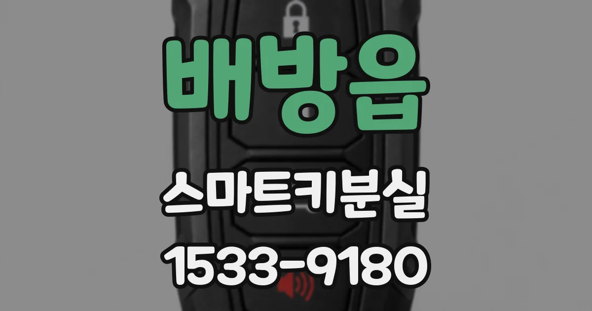 배방읍 스마트키분실