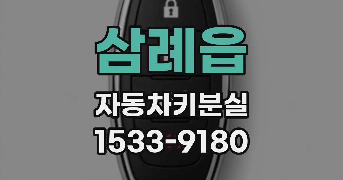 삼례읍 자동차키분실