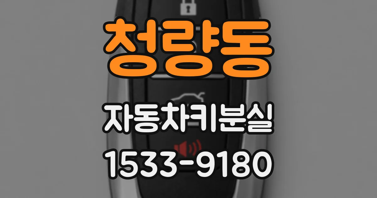 청량동 자동차키분실