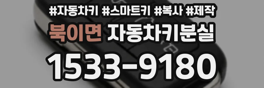 북이면 자동차키분실