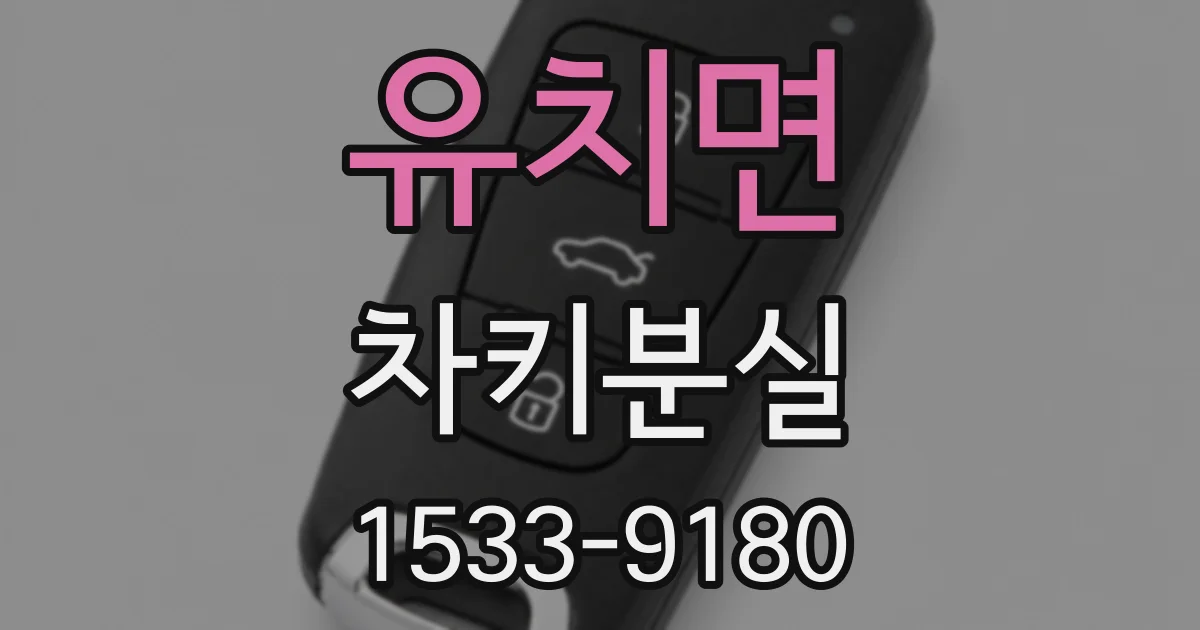 유치면 차키분실