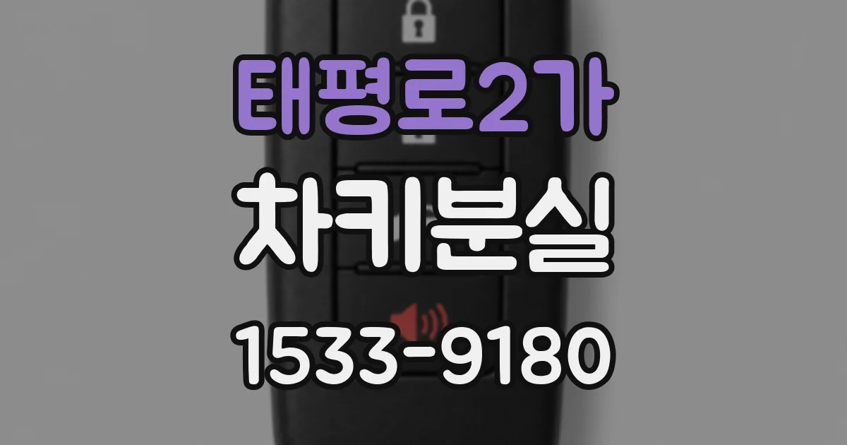 태평로2가 차키분실