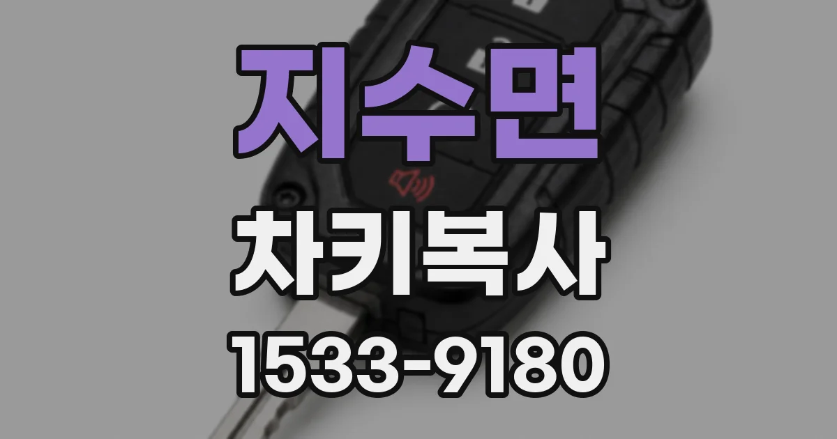 지수면 차키복사