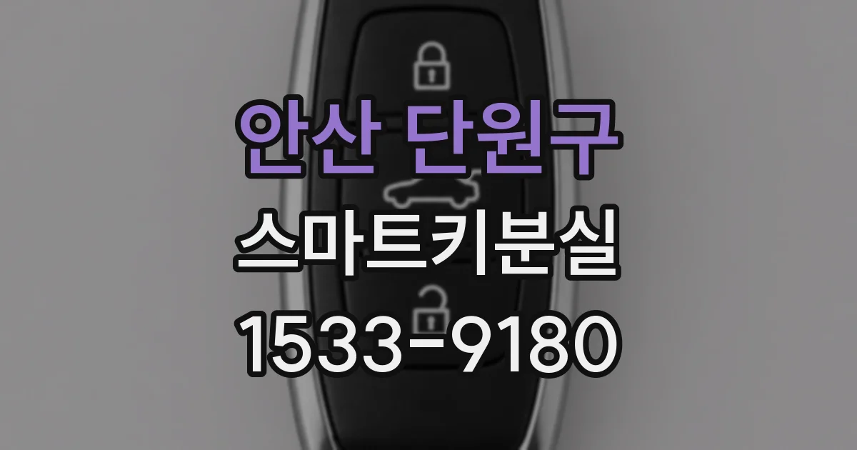 안산 단원구 스마트키분실