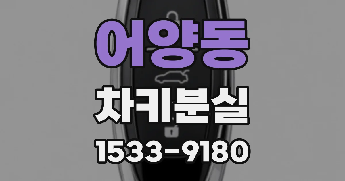 어양동 차키분실