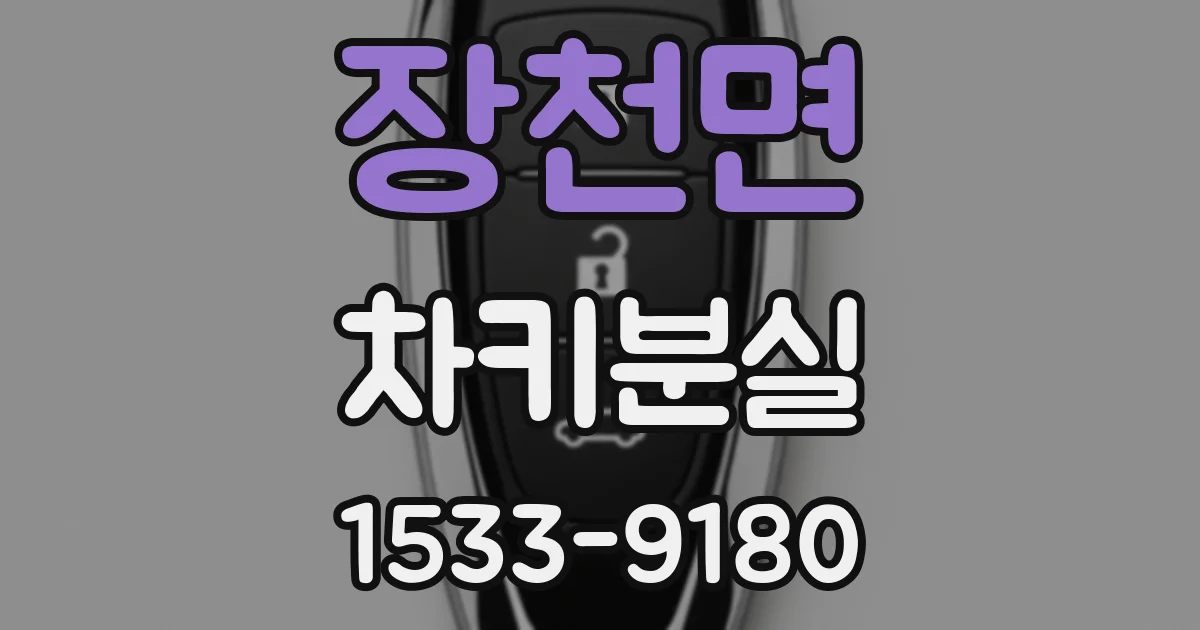 장천면 차키분실