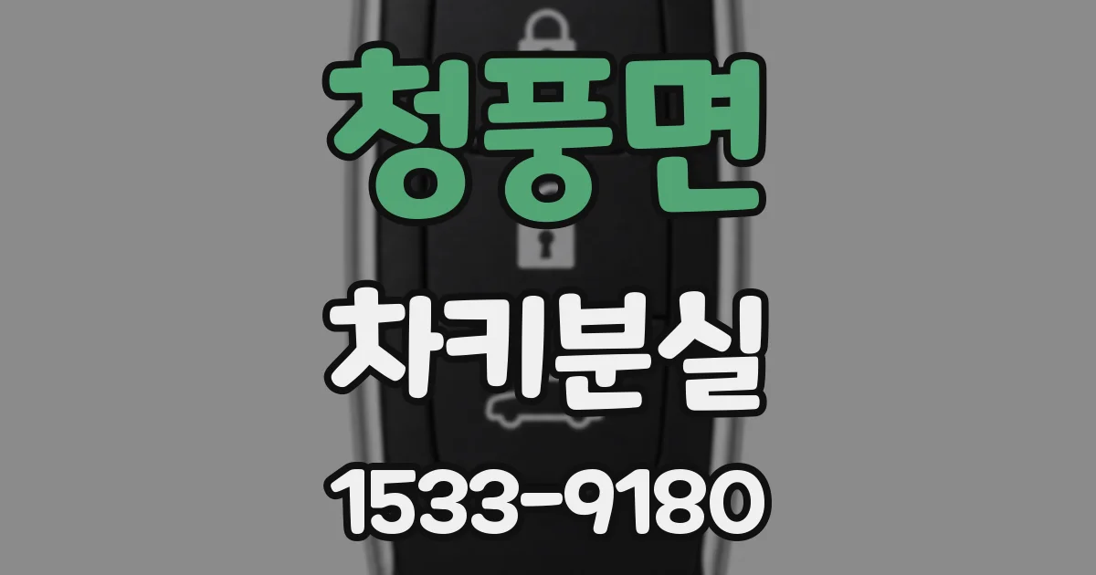 청풍면 차키분실