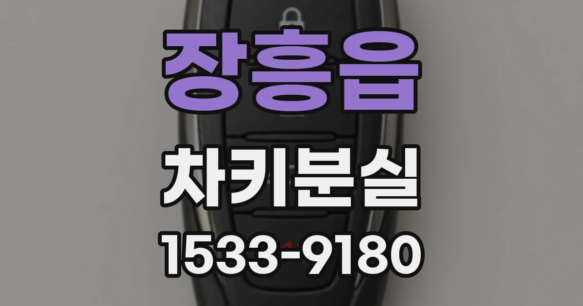 장흥읍 차키분실