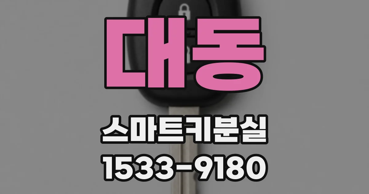 대동 스마트키분실