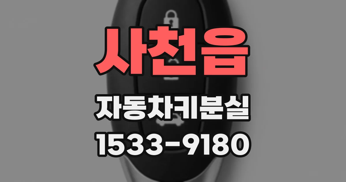 사천읍 자동차키분실