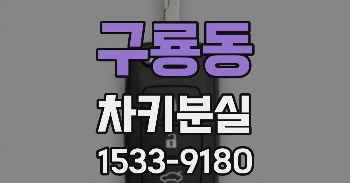 구룡동 차키분실