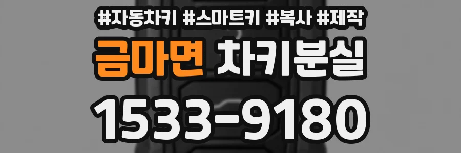 금마면 차키분실