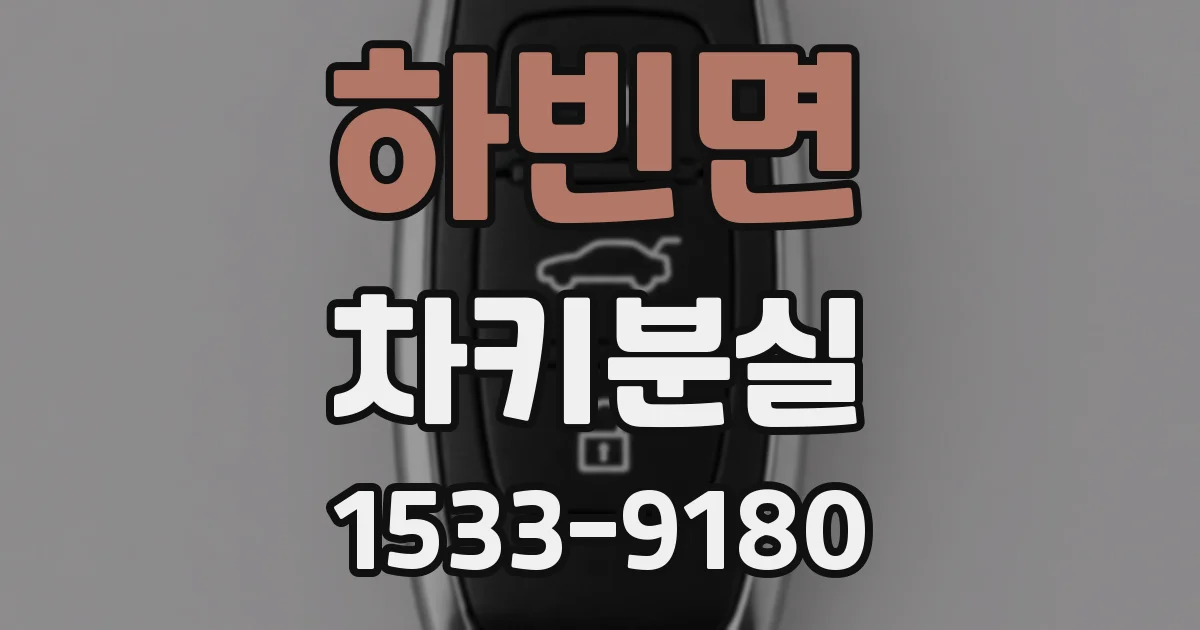 하빈면 차키분실