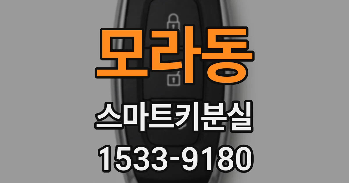 모라동 스마트키분실
