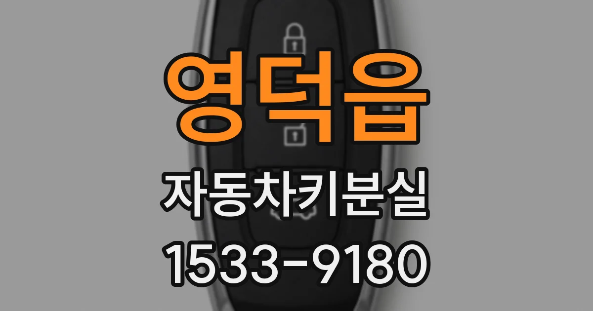 영덕읍 자동차키분실