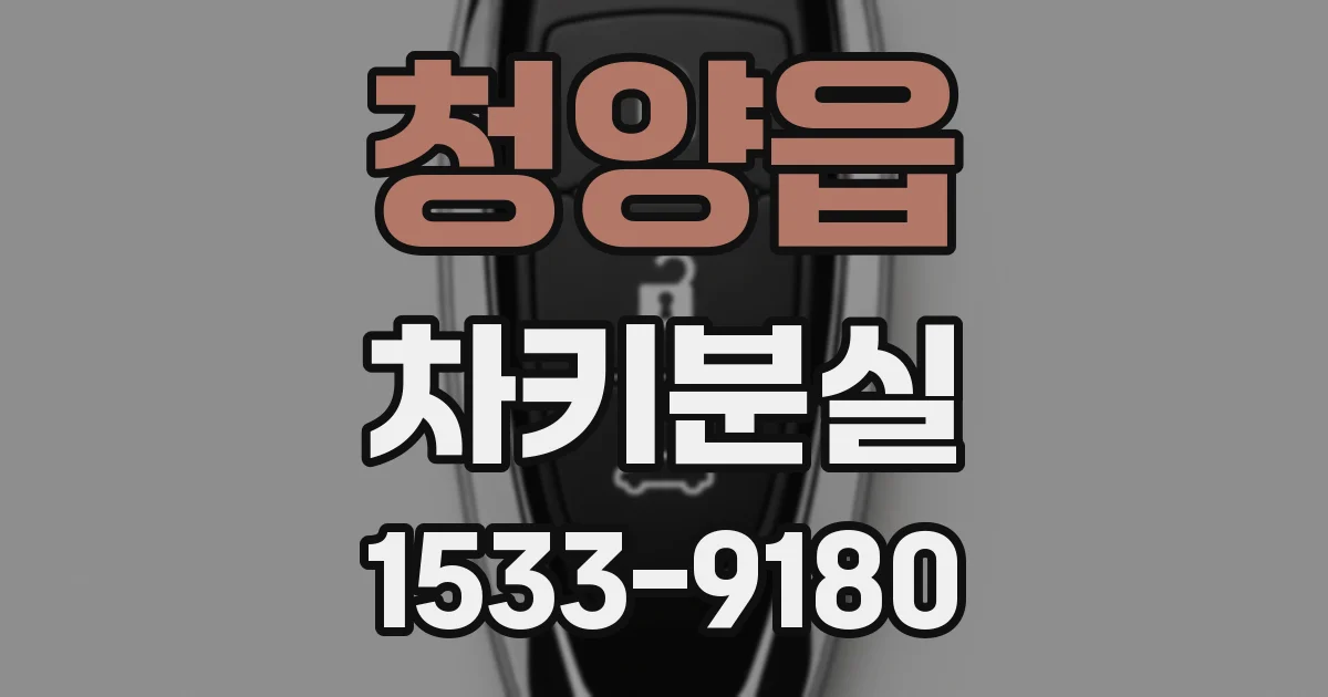 청양읍 차키분실