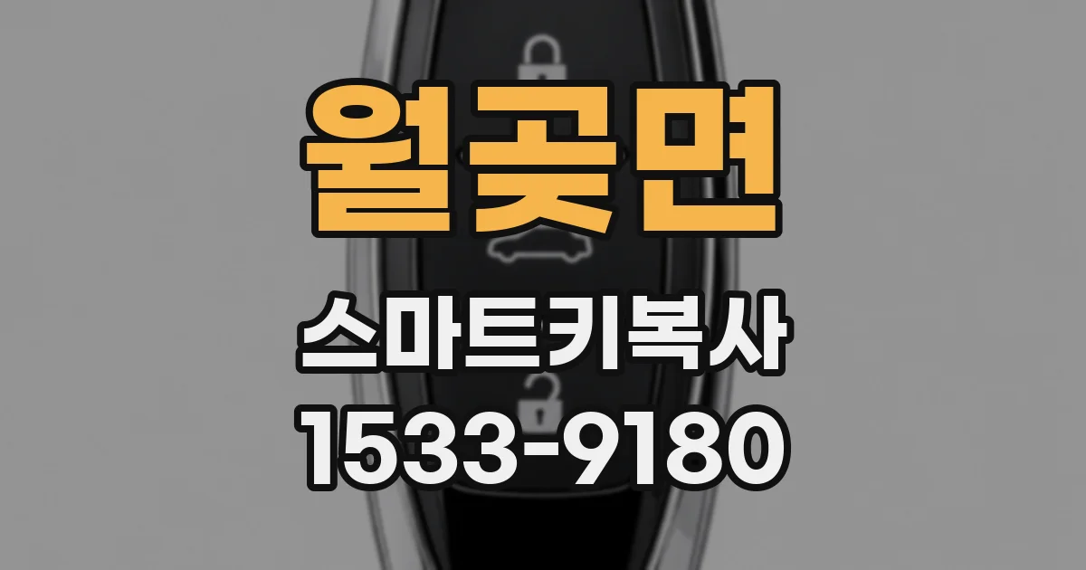 월곶면 스마트키복사