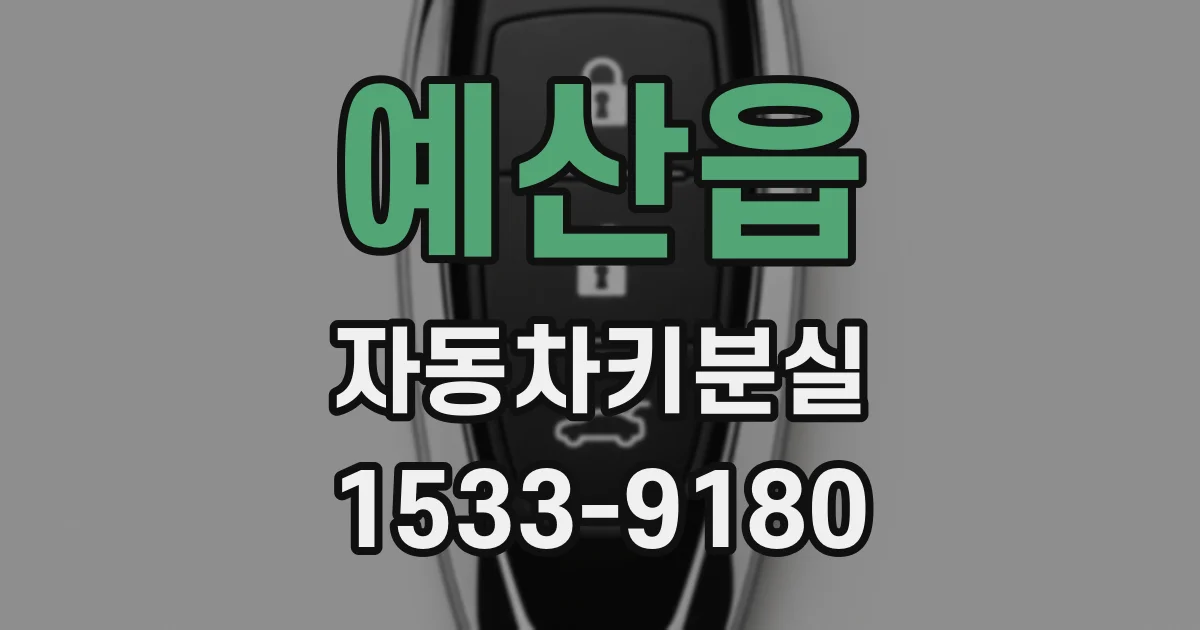 예산읍 자동차키분실