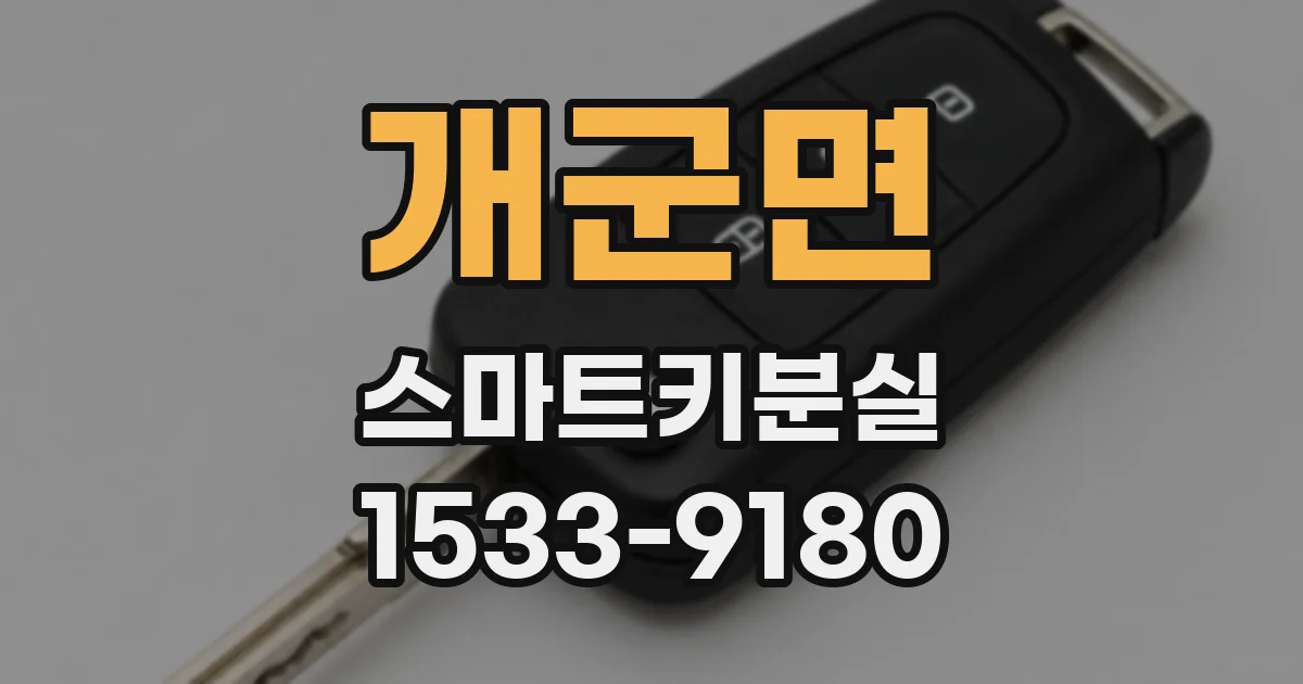개군면 스마트키분실