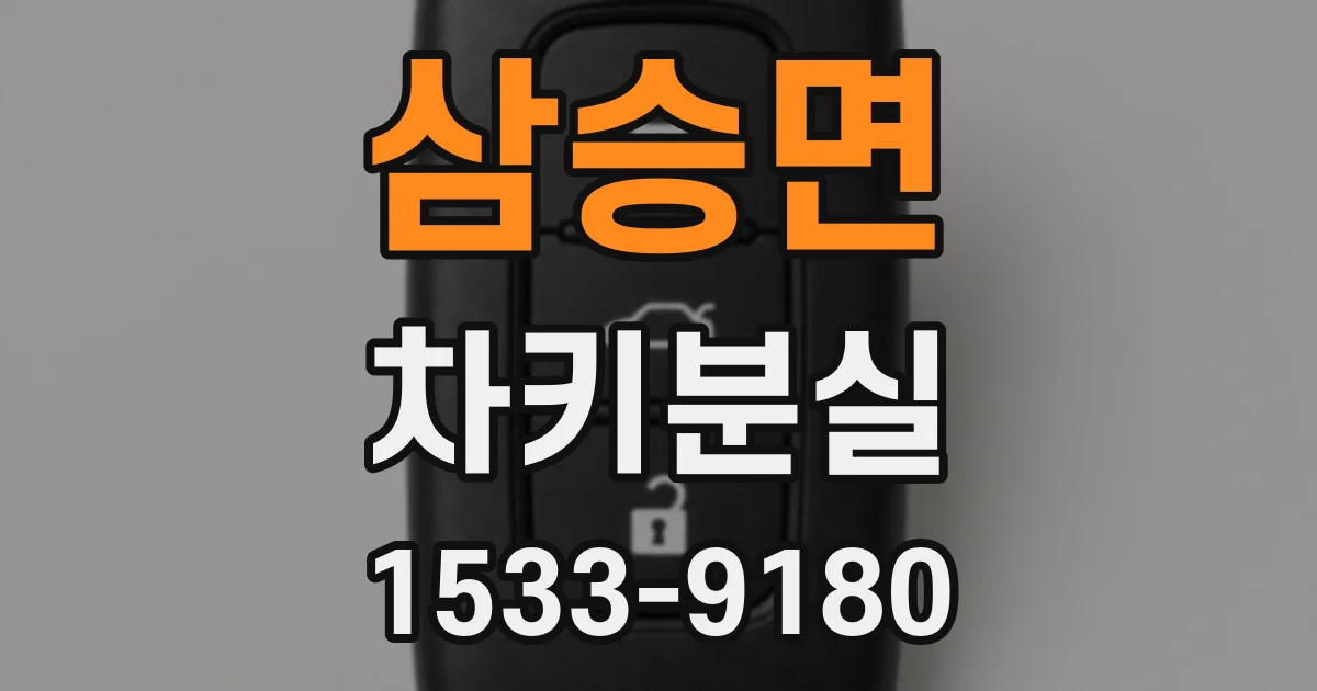 삼승면 차키분실