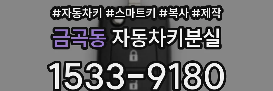 금곡동 자동차키분실