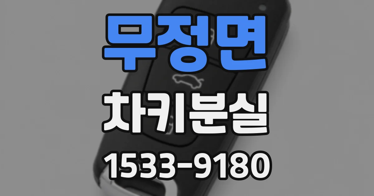 무정면 차키분실