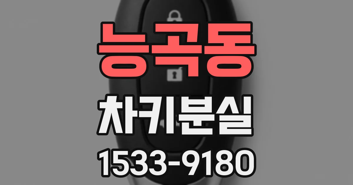 능곡동 차키분실