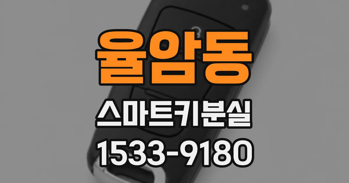 율암동 스마트키분실