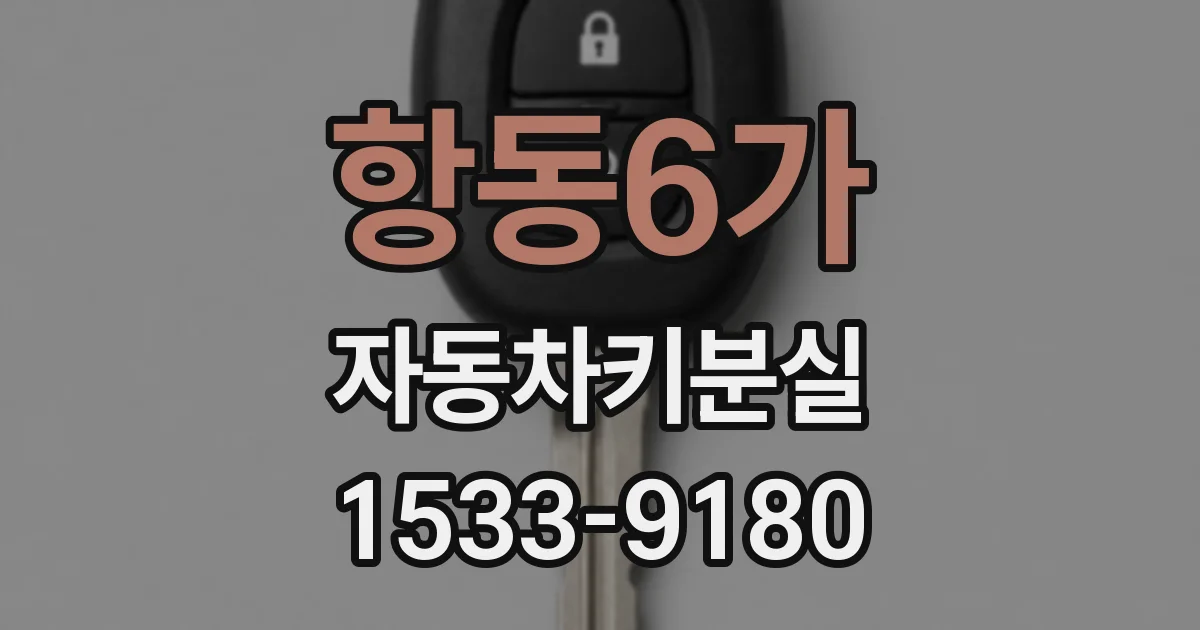항동6가 자동차키분실