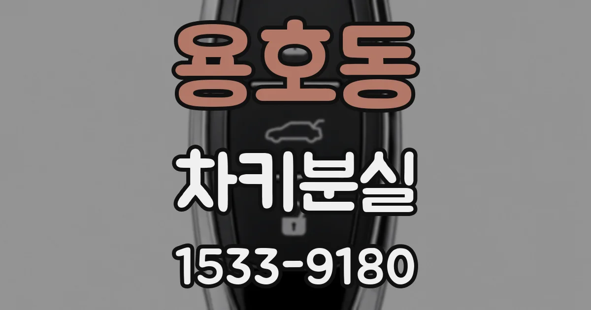 용호동 차키분실