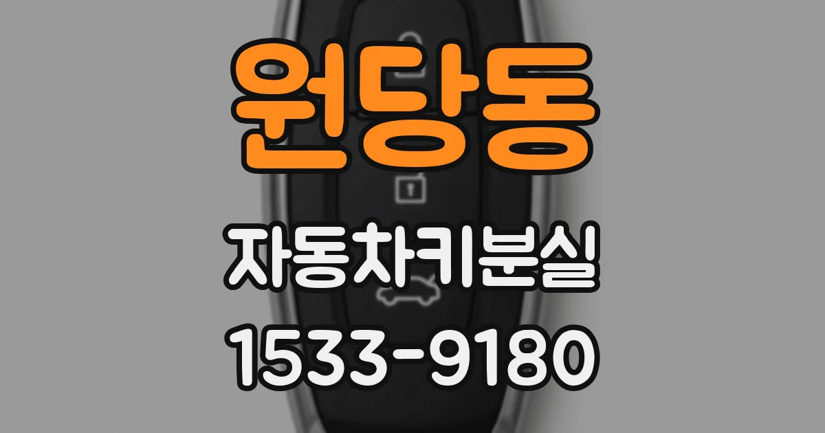 원당동 자동차키분실