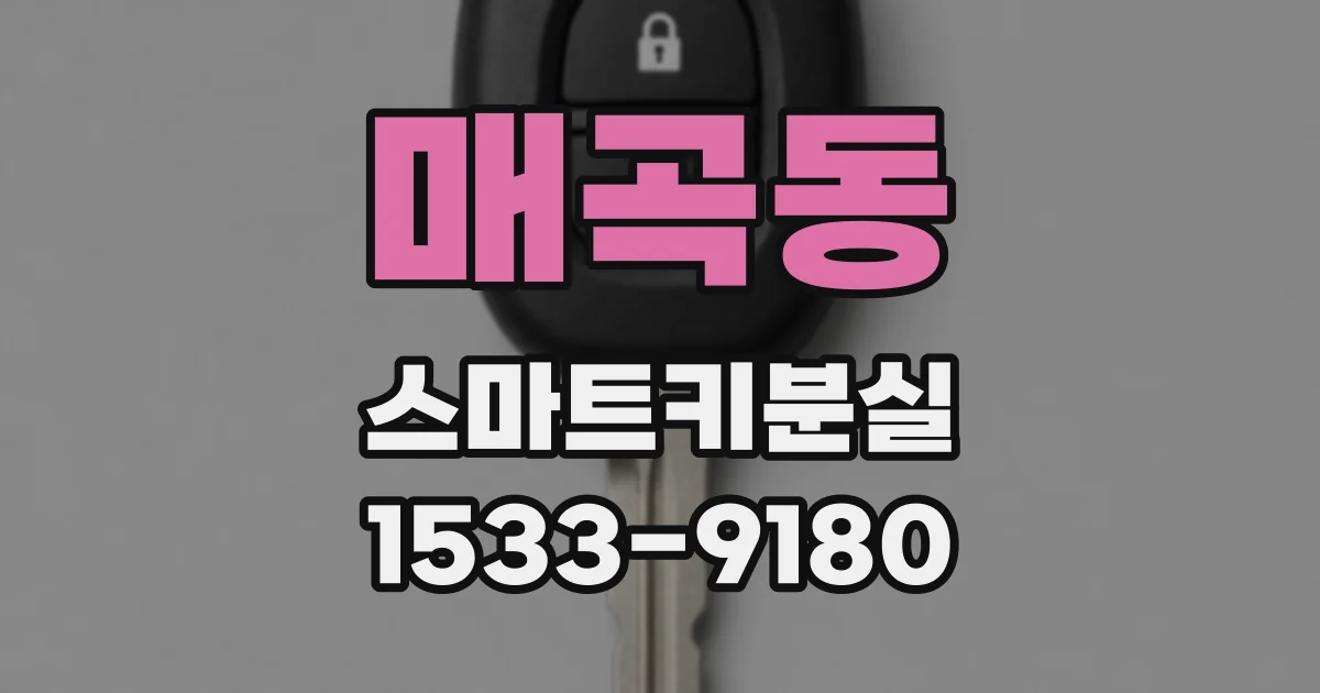 매곡동 스마트키분실