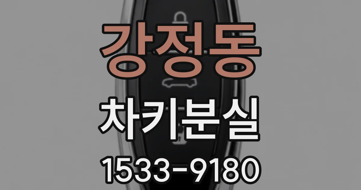 강정동 차키분실