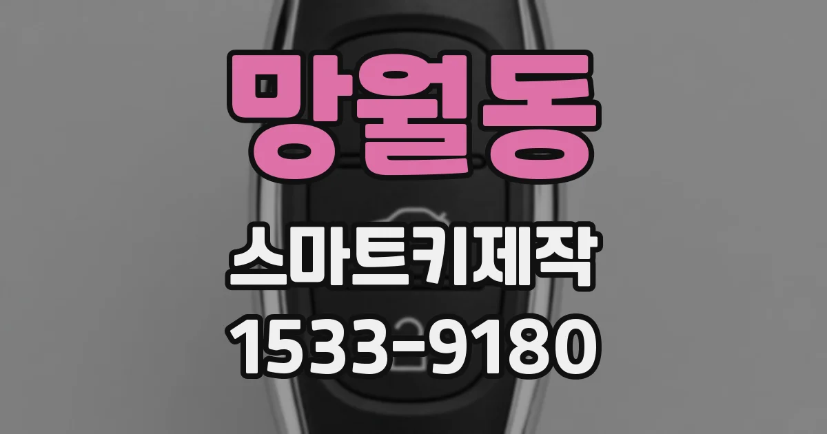 망월동 스마트키제작