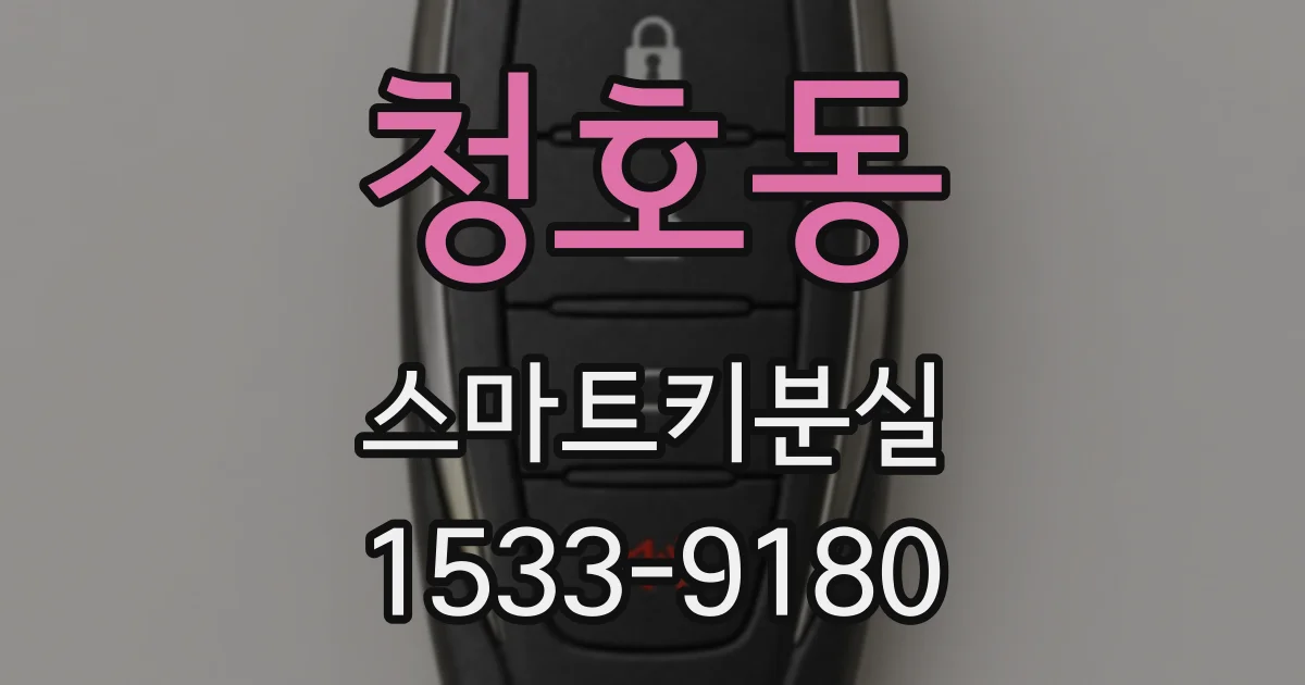 청호동 스마트키분실